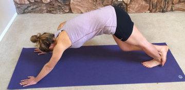 AmySchultzGastroc.WEB