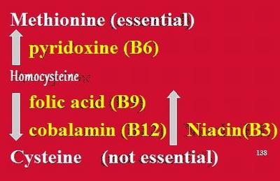 GabeMirkin.homocysteine.WEB