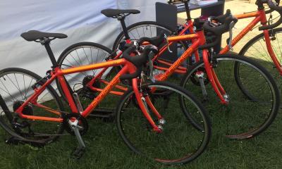 SeaOtter2017.IslaBikes.WEB