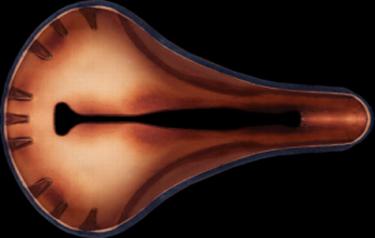 Selle Anatomica X laminate.web