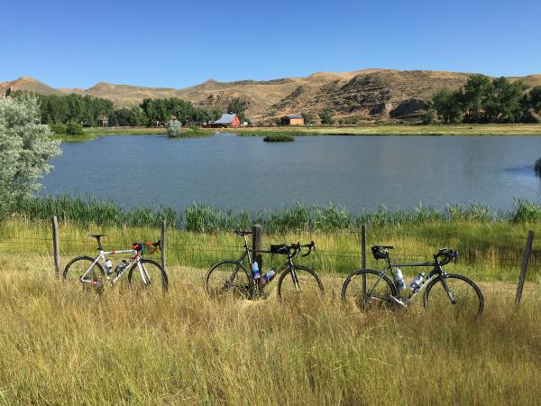 TdW2016.BikesonFence.WEB