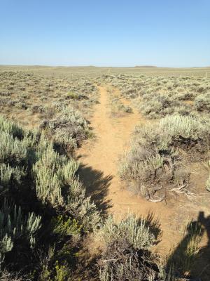 Wyoming Oregon Trail Ruts.web