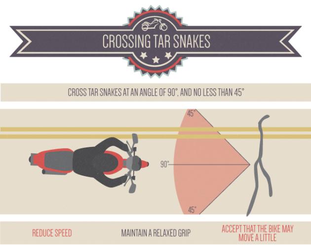 crossingTarSnakes.WEB