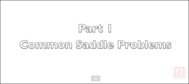 Causes of Saddle Pain, Part 1