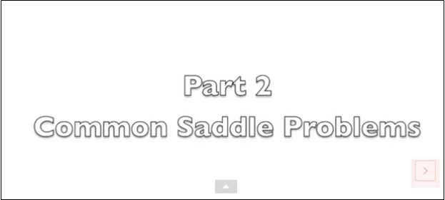 Causes of Saddle Pain, Part 2