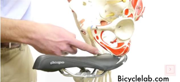 Seat Comfort for Cyclists