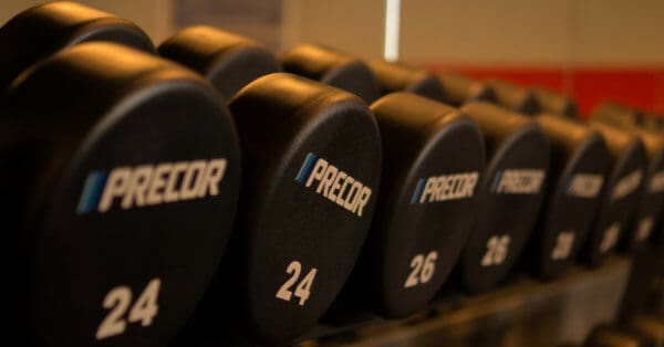 free weights
