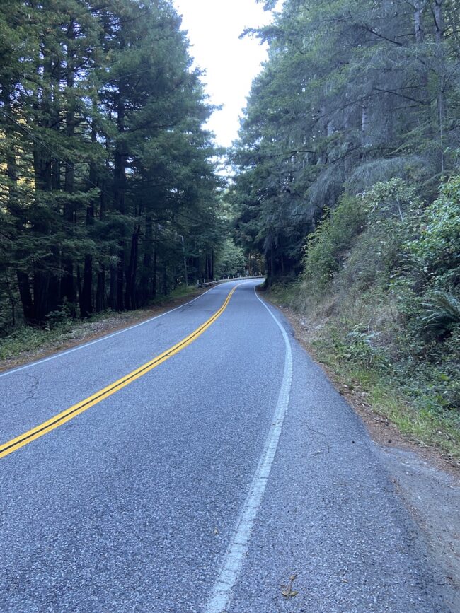 Bike descent in the Santa Cruz mountains of California
