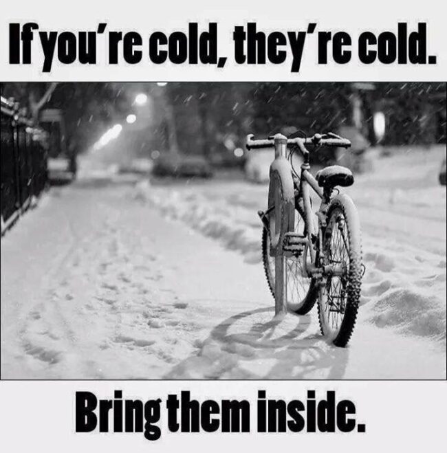 cold bicycle meme