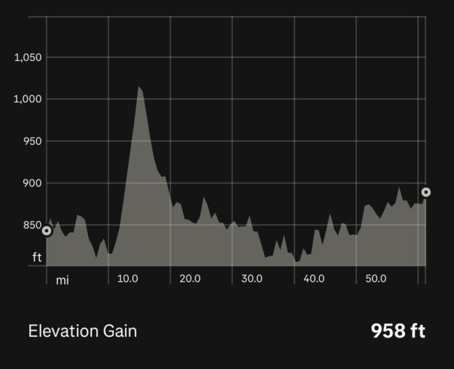 Elevation Map Day 2