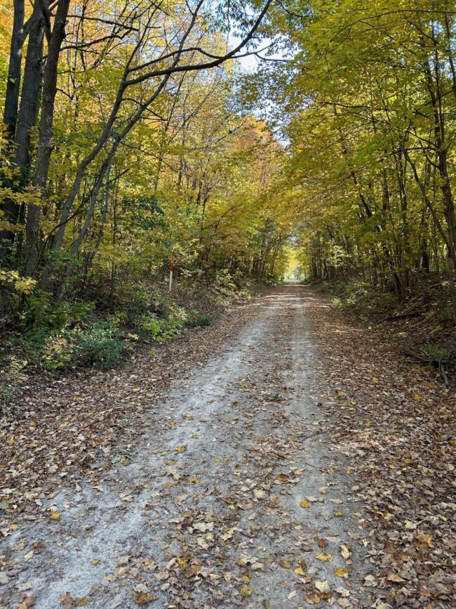 Cycling fall foliage