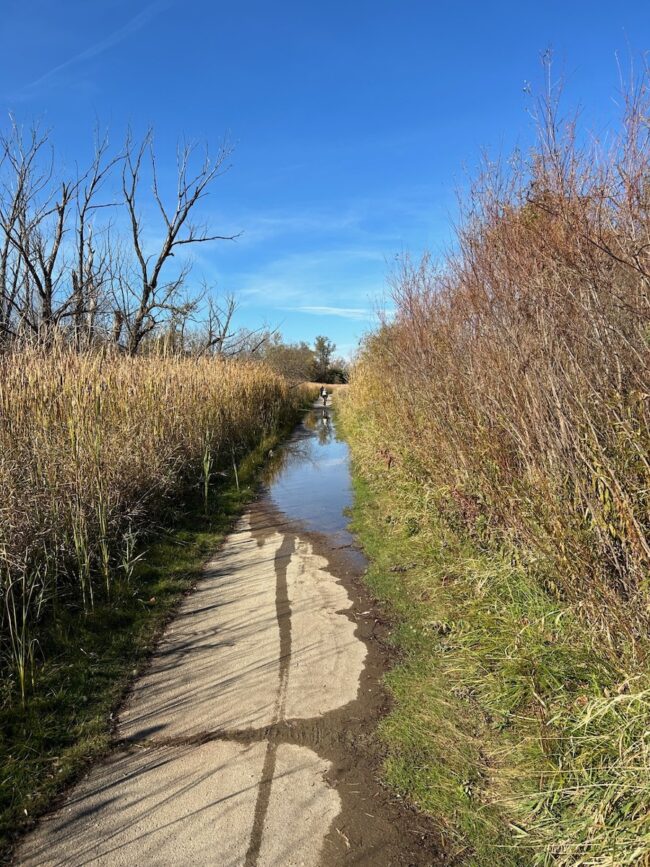 flooded trail cycling tour