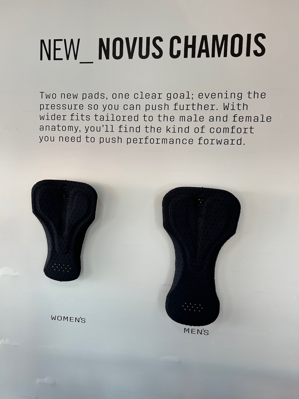 Sea Otter new chamois