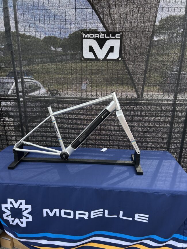 Morelle frame