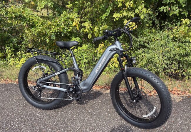 Puckipuppy Boxer ST Ebike profile