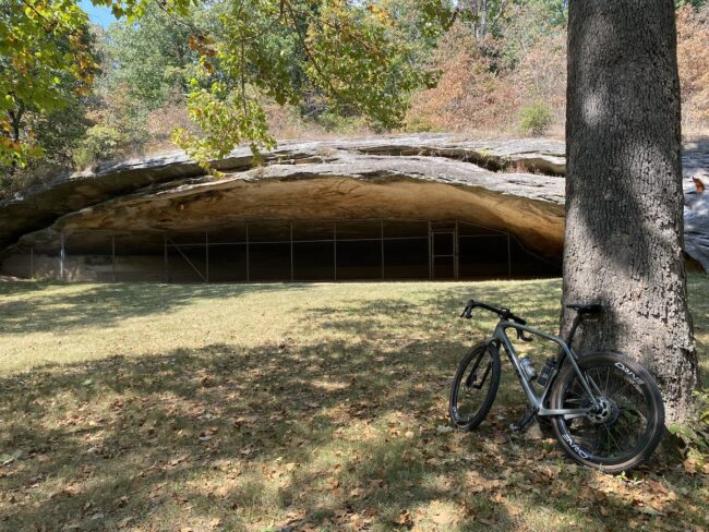 bike against tree on cycling trip