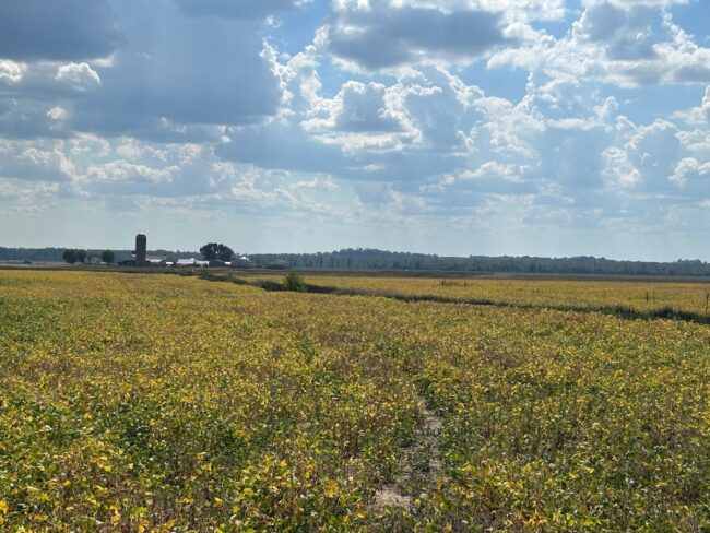 bike trip fields view