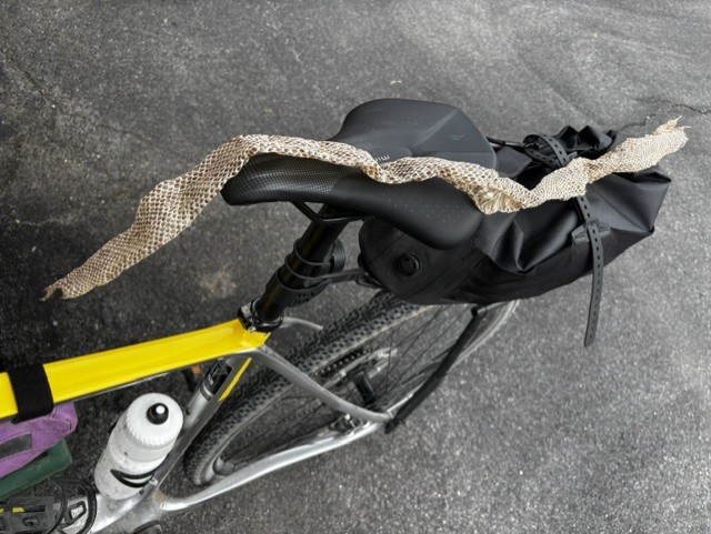 GAP and C&O Trail Cycling Adventure snake skin