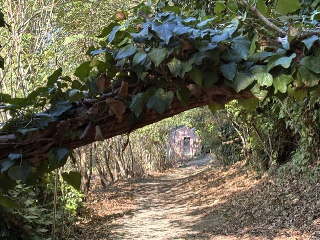 Cycling Riccione, Italy Pink Chapel in the woods